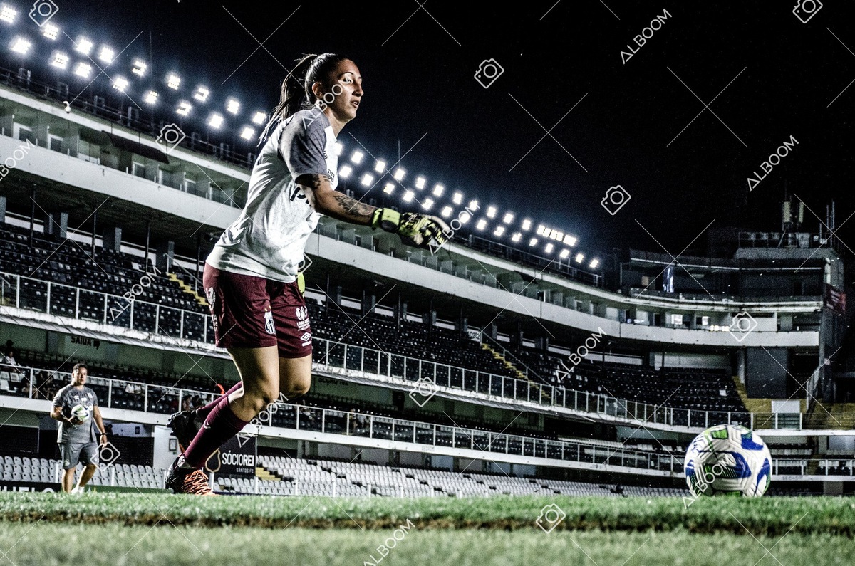 230327_Santos_1x1_Palmeiras)Brasileirão_foto Dennis Calçada 01 (790)-1.jpg