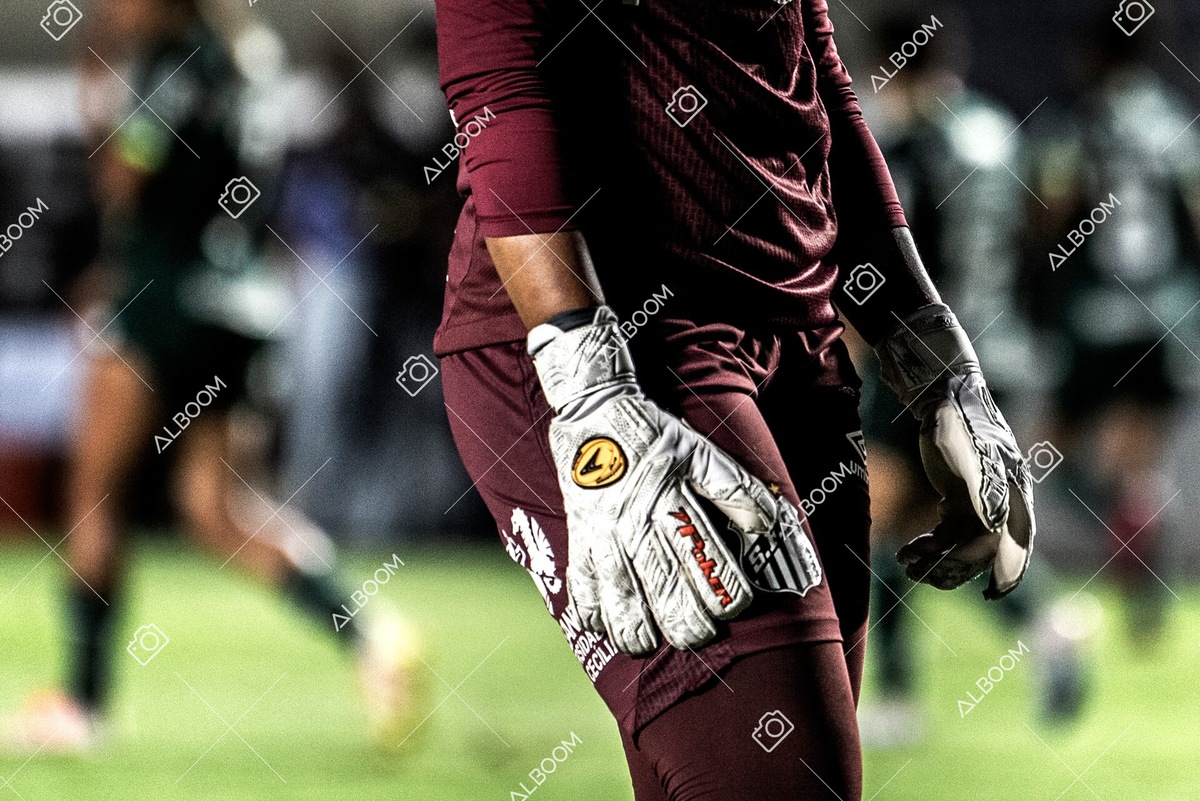 230327_Santos_1x1_Palmeiras)Brasileirão_foto Dennis Calçada 01 (436)-1.jpg