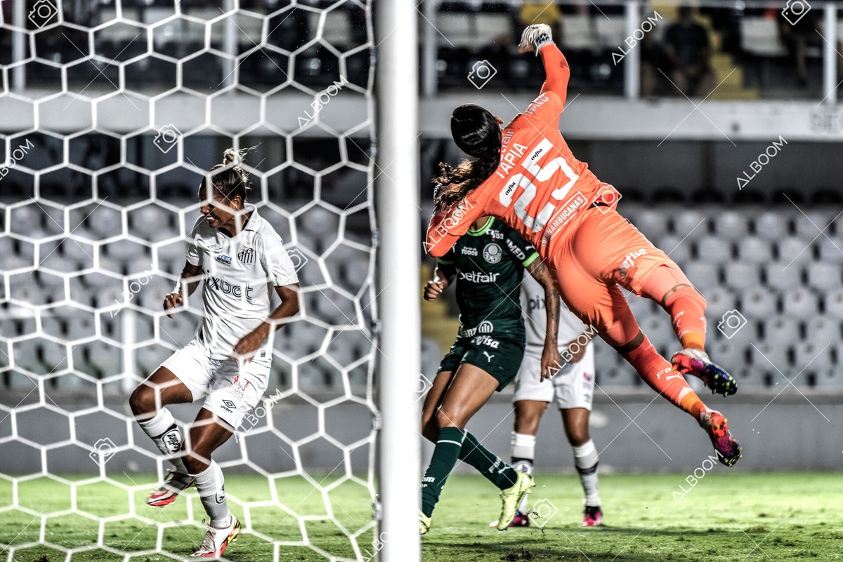 230327_Santos_1x1_Palmeiras)Brasileirão_foto Dennis Calçada 01 (671)-1.jpg