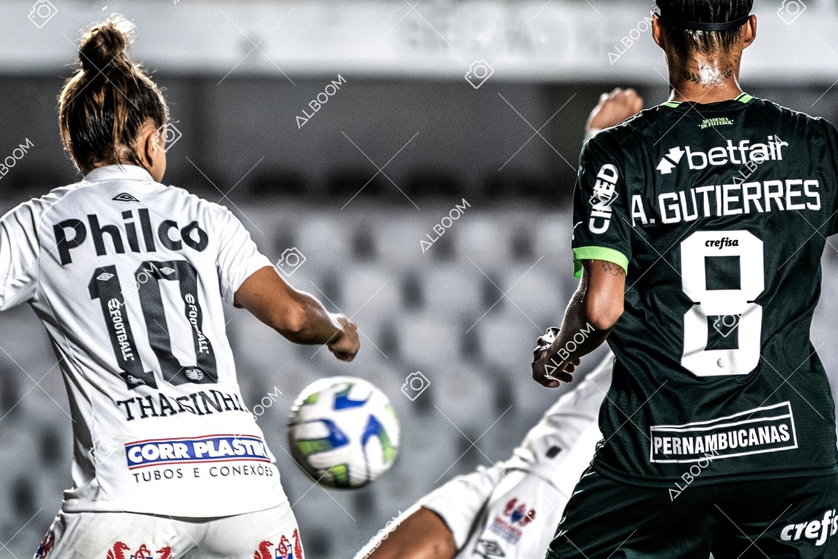 230327_Santos_1x1_Palmeiras)Brasileirão_foto Dennis Calçada 01 (675)-1.jpg