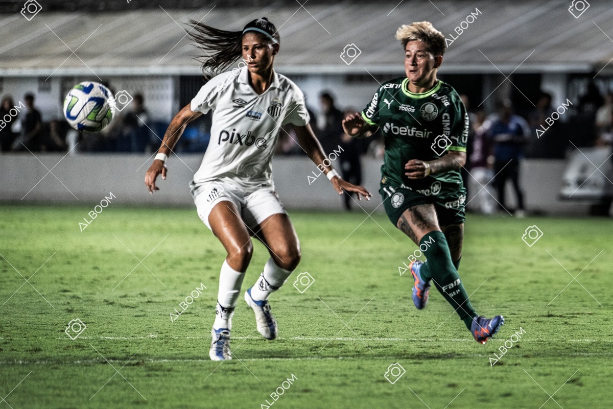 230327_Santos_1x1_Palmeiras)Brasileirão_foto Dennis Calçada 01 (475)-1.jpg