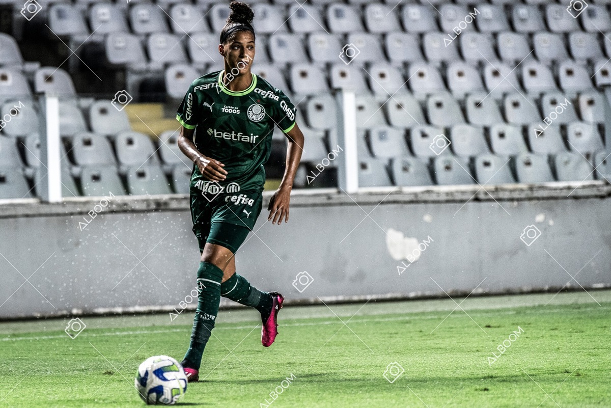 230327_Santos_1x1_Palmeiras)Brasileirão_foto Dennis Calçada 01 (253)-1.jpg