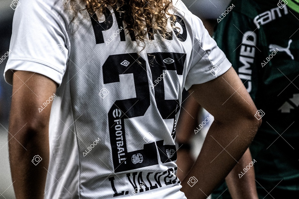 230327_Santos_1x1_Palmeiras)Brasileirão_foto Dennis Calçada 01 (130)-1.jpg
