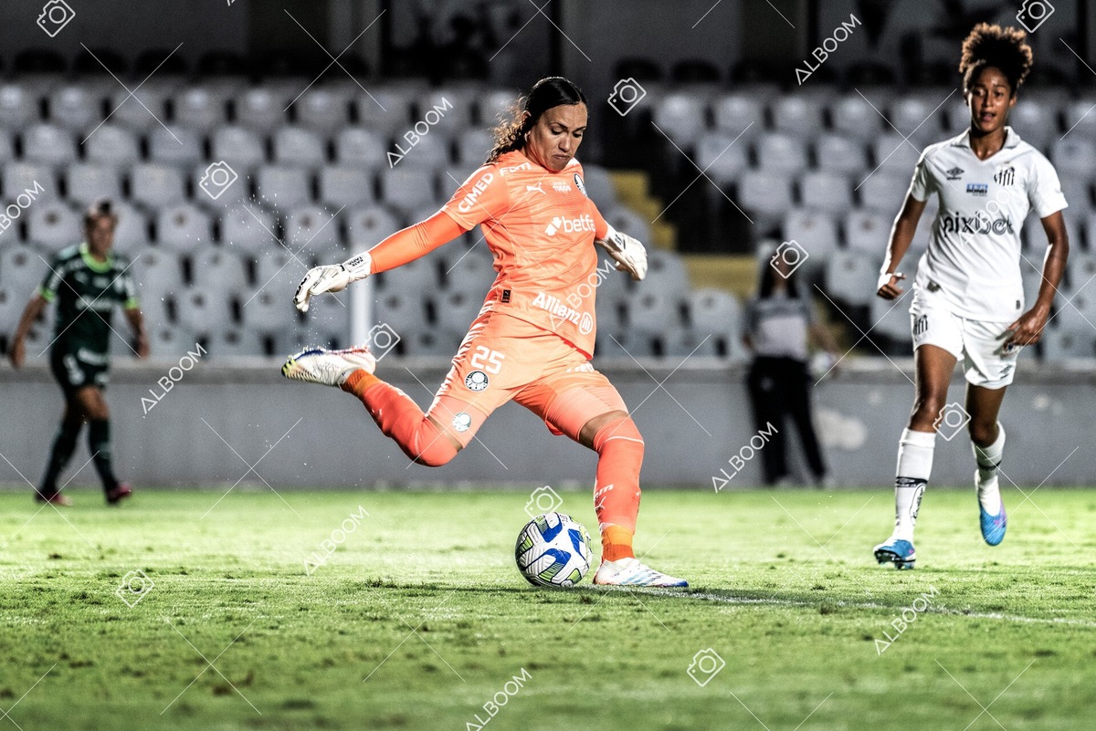 230327_Santos_1x1_Palmeiras)Brasileirão_foto Dennis Calçada 01 (571)-1.jpg