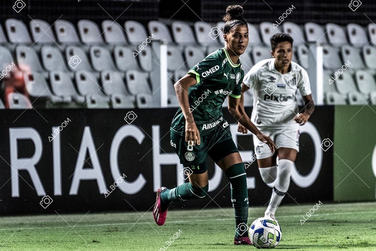 230327_Santos_1x1_Palmeiras)Brasileirão_foto Dennis Calçada 01 (213)-1.jpg
