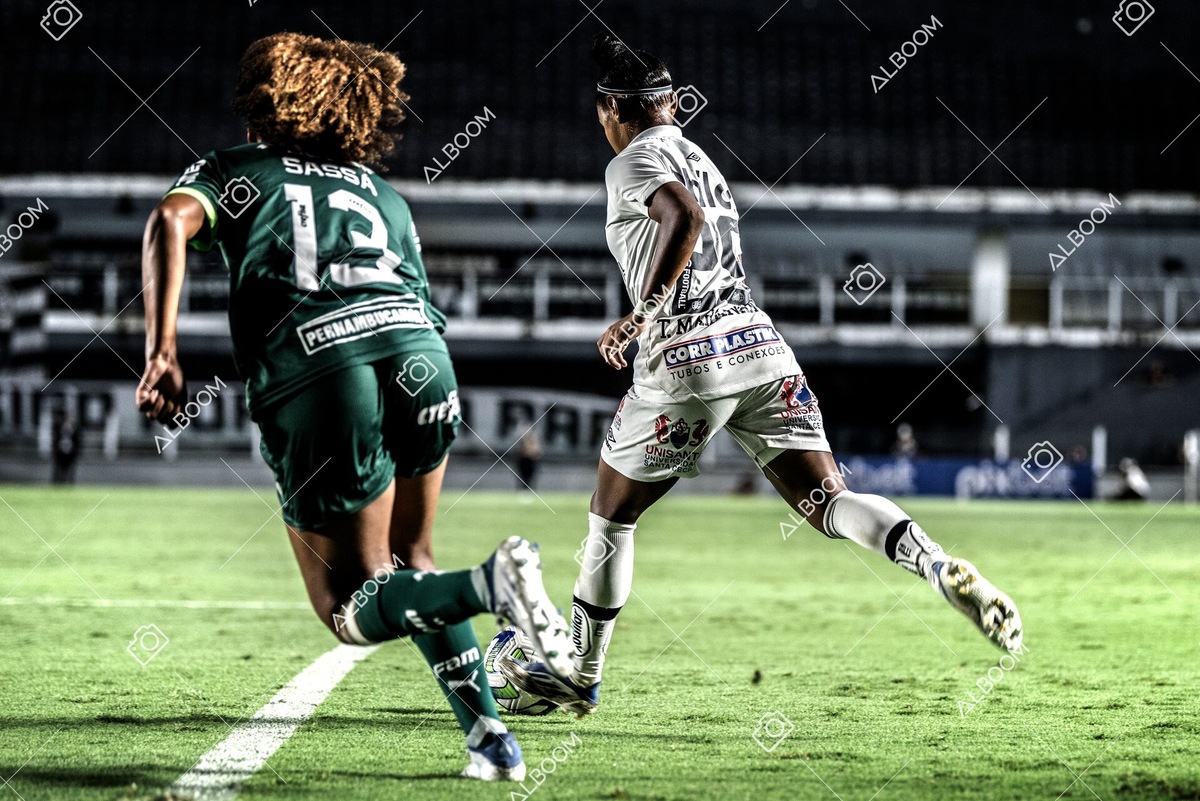 230327_Santos_1x1_Palmeiras)Brasileirão_foto Dennis Calçada 01 (735)-1.jpg