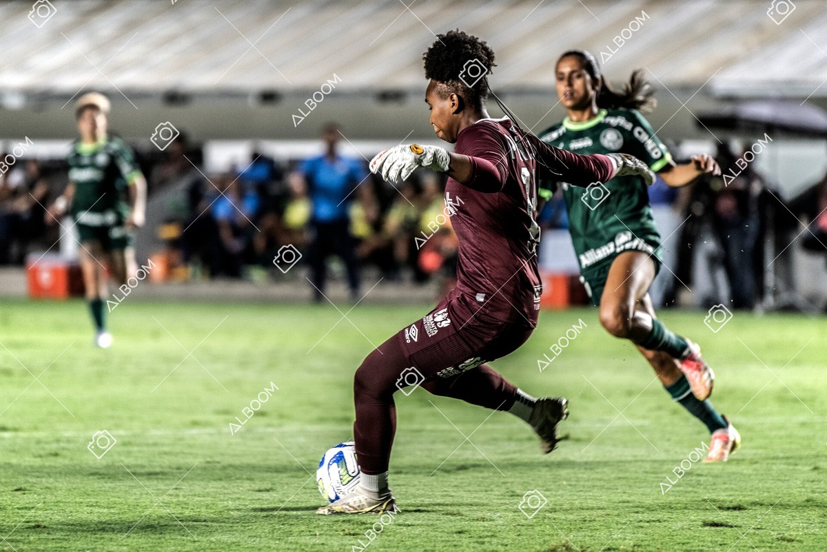 230327_Santos_1x1_Palmeiras)Brasileirão_foto Dennis Calçada 01 (288)-1.jpg