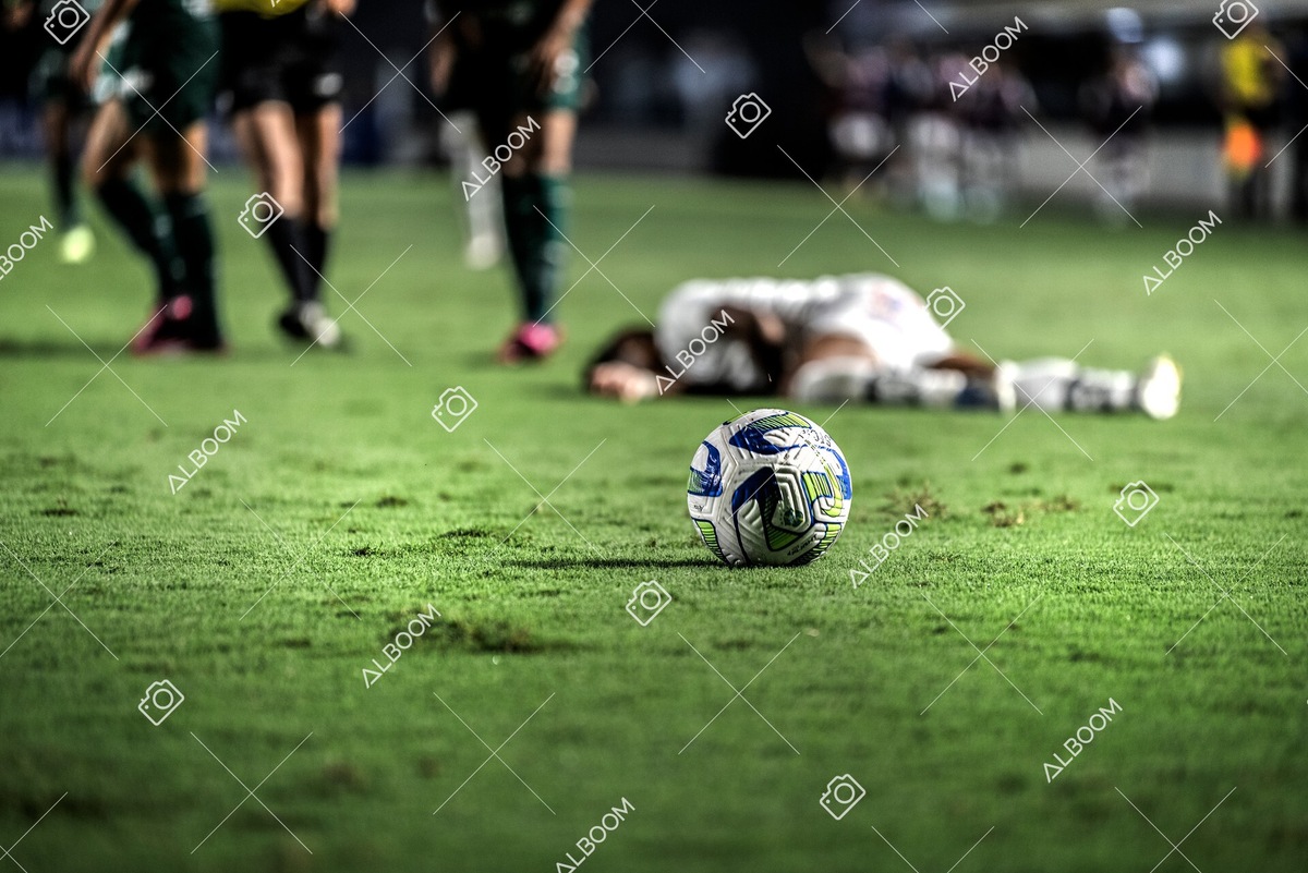 230327_Santos_1x1_Palmeiras)Brasileirão_foto Dennis Calçada 01 (661)-1.jpg