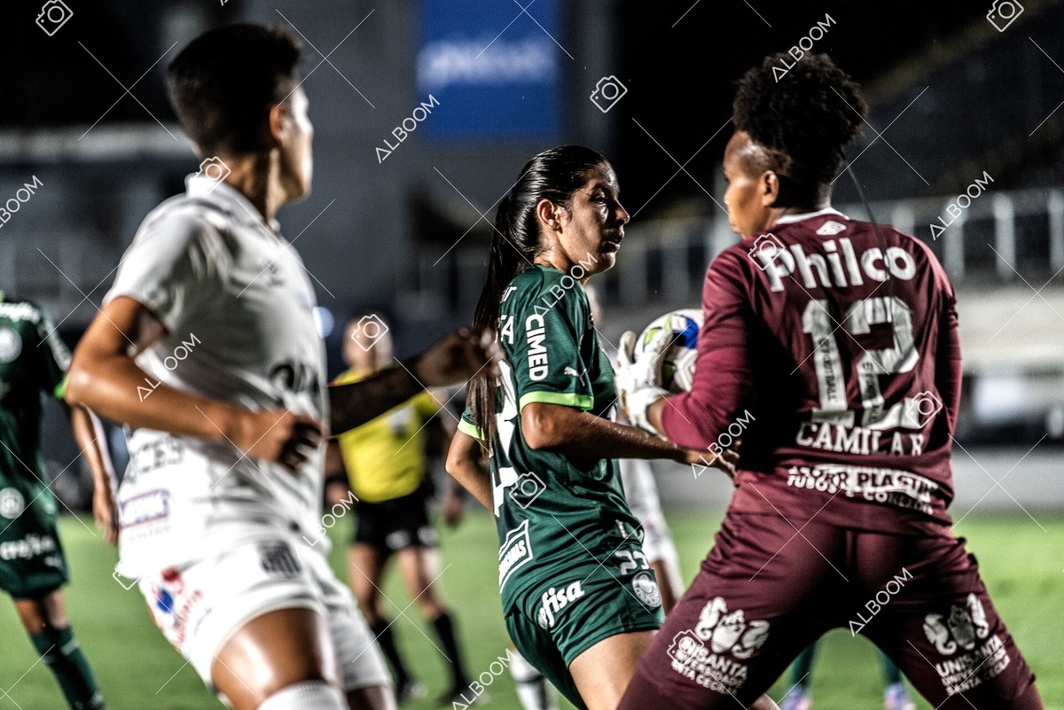 230327_Santos_1x1_Palmeiras)Brasileirão_foto Dennis Calçada 01 (315)-1.jpg