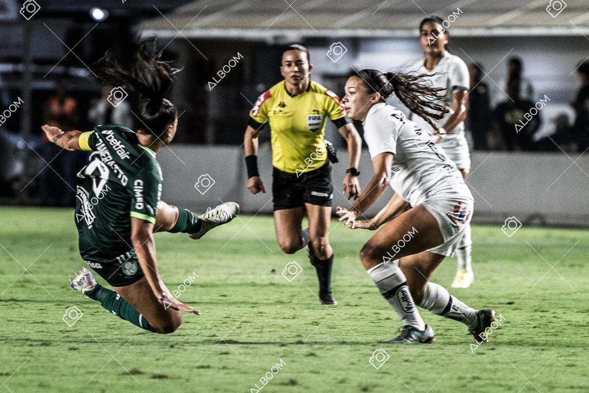 230327_Santos_1x1_Palmeiras)Brasileirão_foto Dennis Calçada 01 (390)-1.jpg