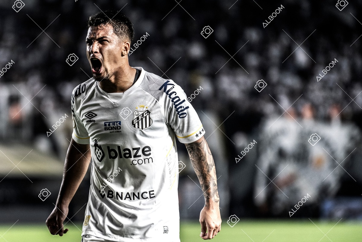 230621_Santos_0x2_Corinthians_Brasileirão_foto Dennis Calçada_01 (426)-1A.jpg
