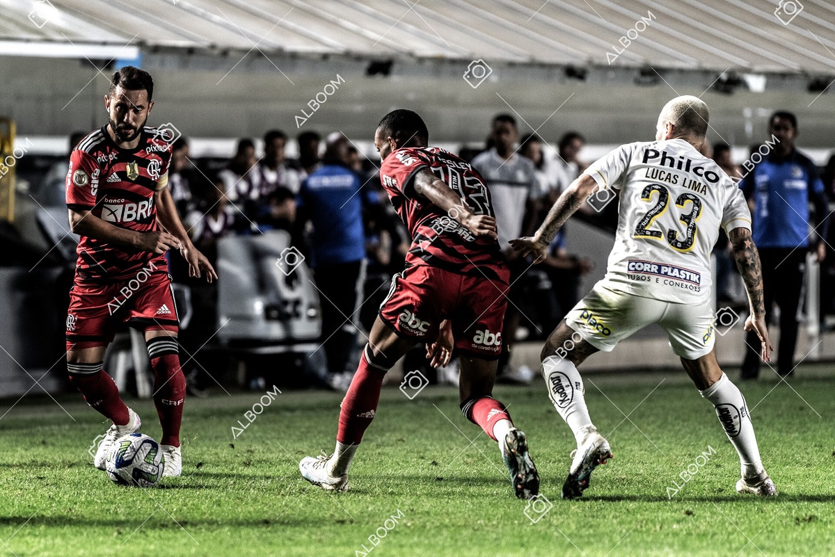 230625_Santos_2x3_Flamengo_Brasileirão_foto Dennis Calçada_01 (387)-1.jpg