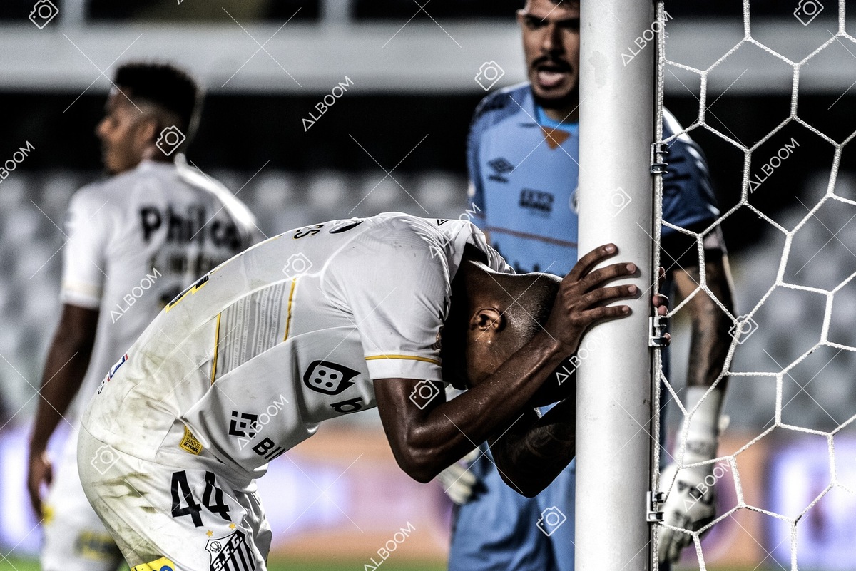230625_Santos_2x3_Flamengo_Brasileirão_foto Dennis Calçada_01 (766)-1.jpg
