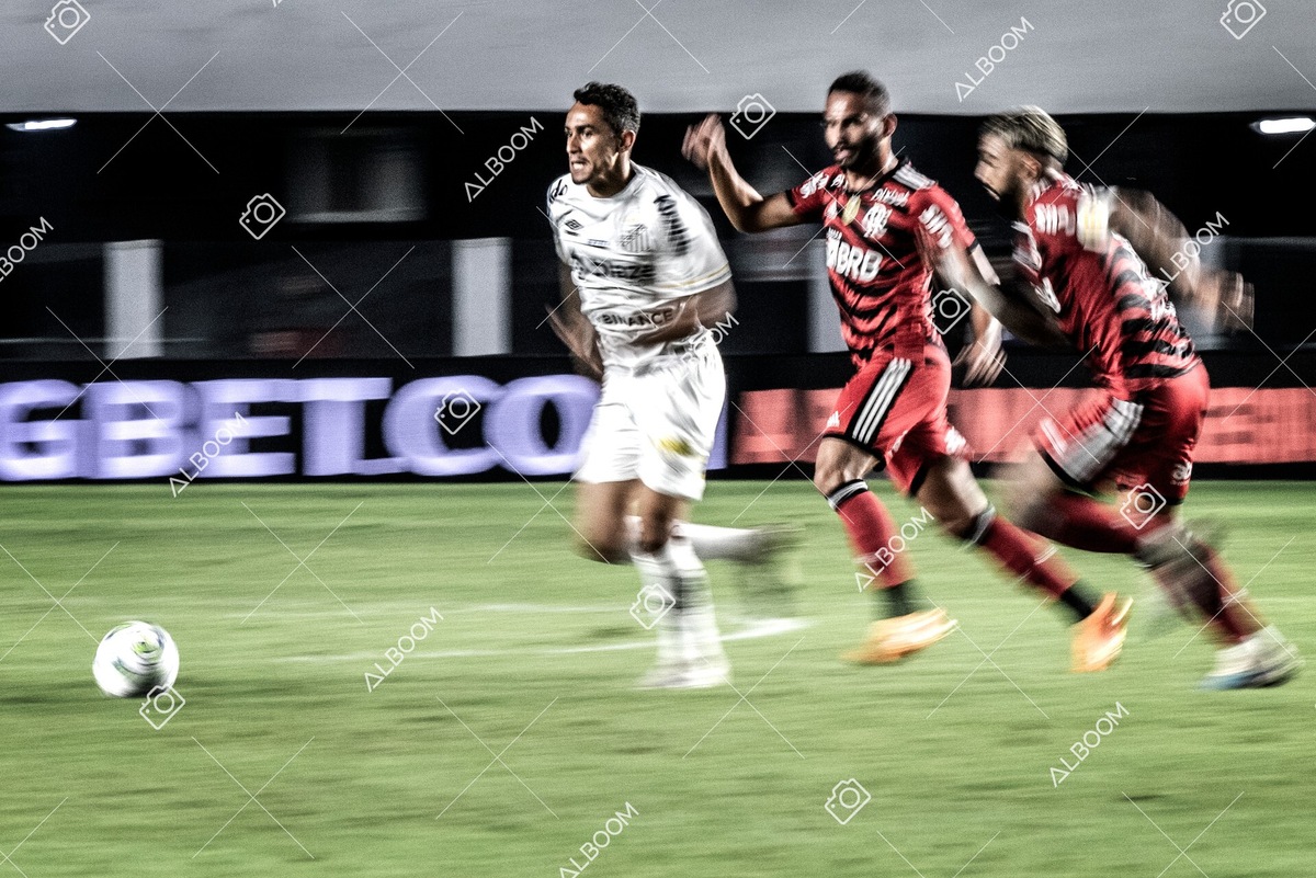 230625_Santos_2x3_Flamengo_Brasileirão_foto Dennis Calçada_01 (636)-1.jpg