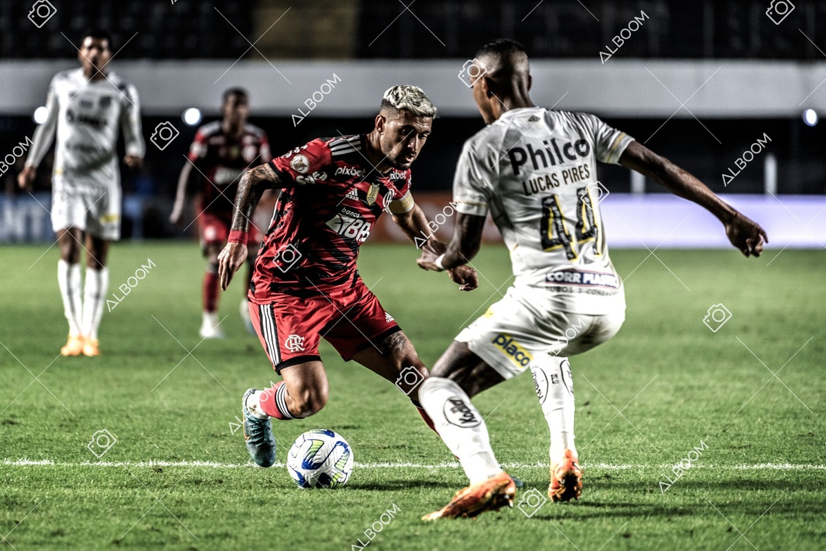 230625_Santos_2x3_Flamengo_Brasileirão_foto Dennis Calçada_01 (756)-1.jpg