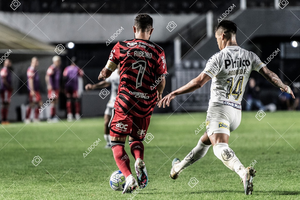 230625_Santos_2x3_Flamengo_Brasileirão_foto Dennis Calçada_01 (479)-1.jpg