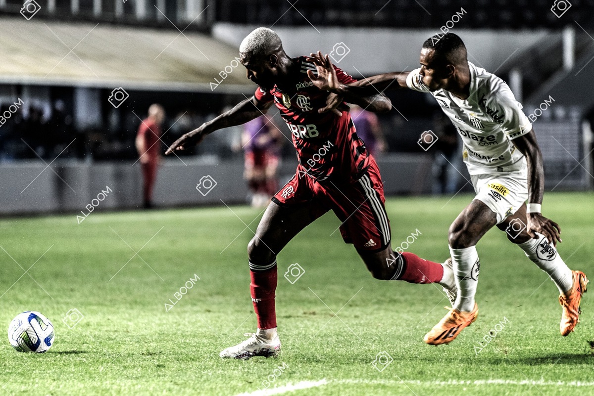 230625_Santos_2x3_Flamengo_Brasileirão_foto Dennis Calçada_01 (498)-1.jpg