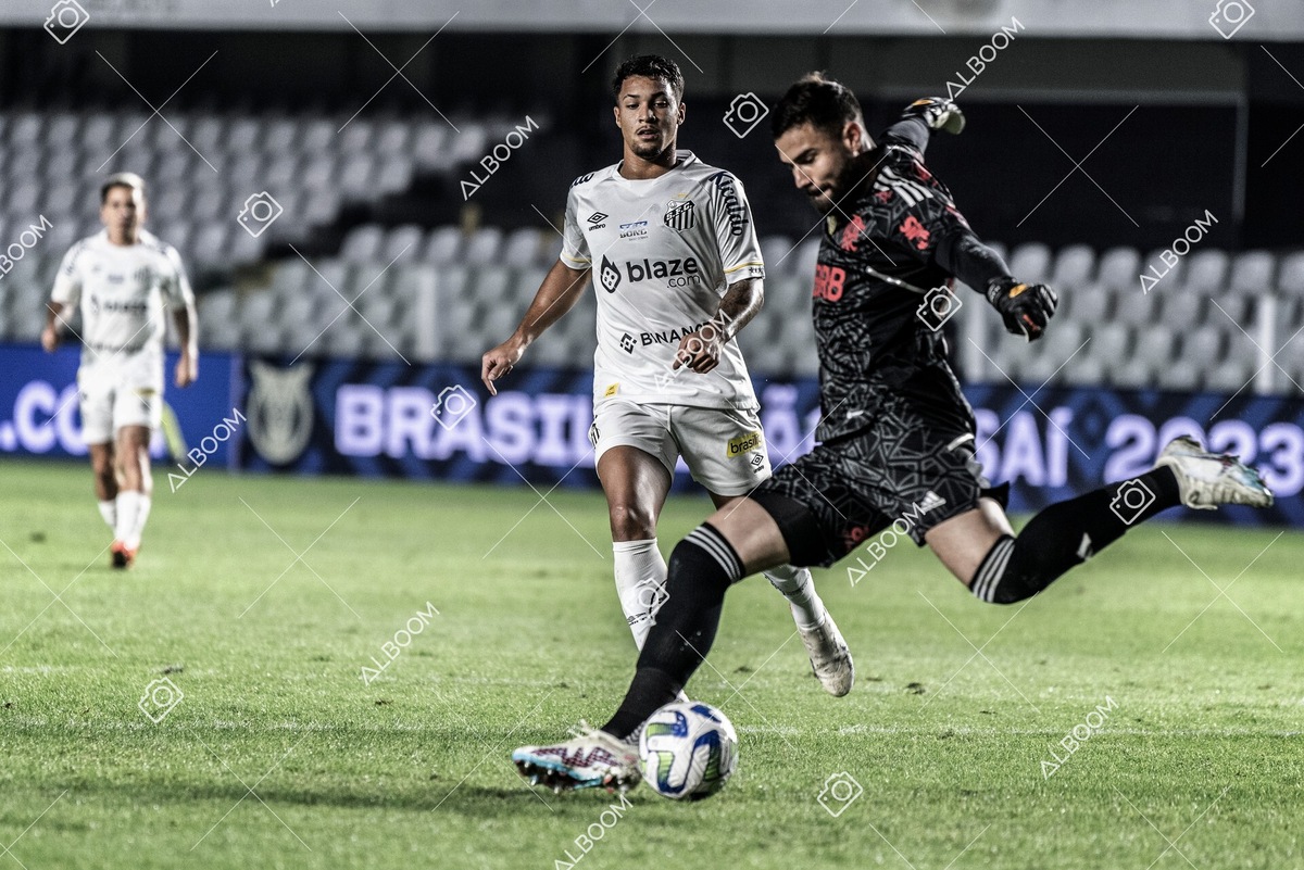 230625_Santos_2x3_Flamengo_Brasileirão_foto Dennis Calçada_01 (248)-1.jpg