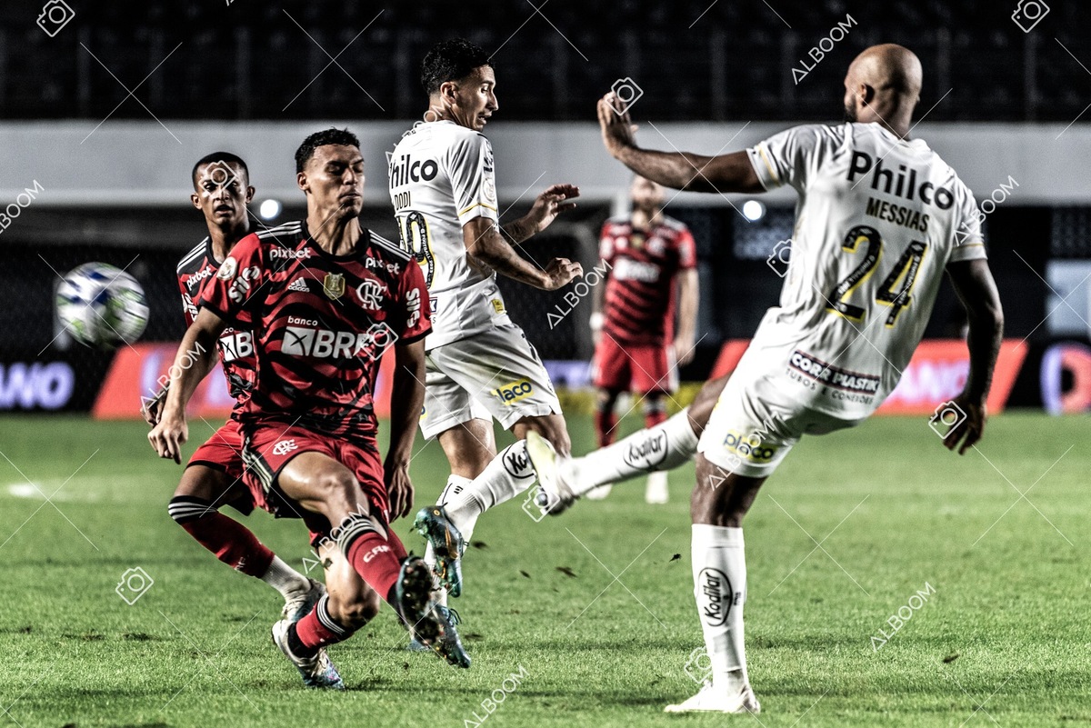 230625_Santos_2x3_Flamengo_Brasileirão_foto Dennis Calçada_01 (384)-1.jpg