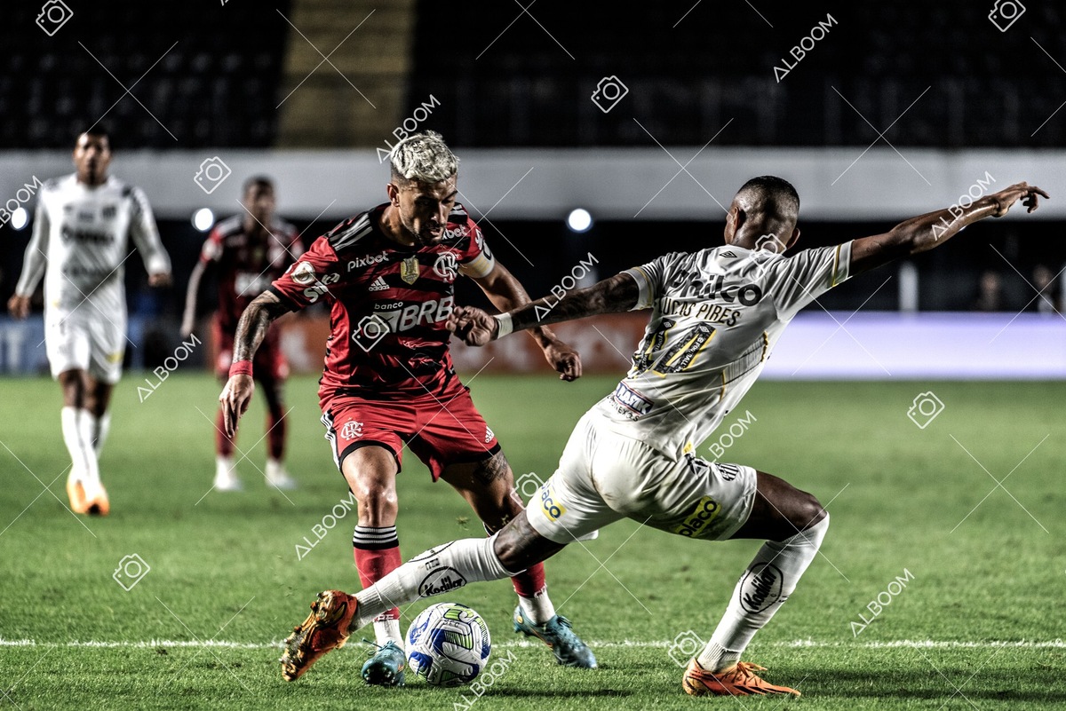 230625_Santos_2x3_Flamengo_Brasileirão_foto Dennis Calçada_01 (757)-1.jpg