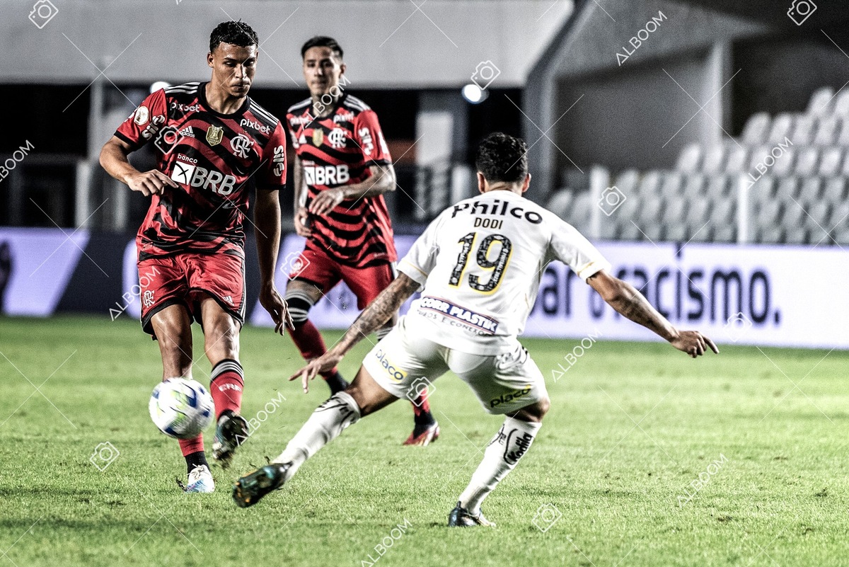 230625_Santos_2x3_Flamengo_Brasileirão_foto Dennis Calçada_01 (445)-1.jpg