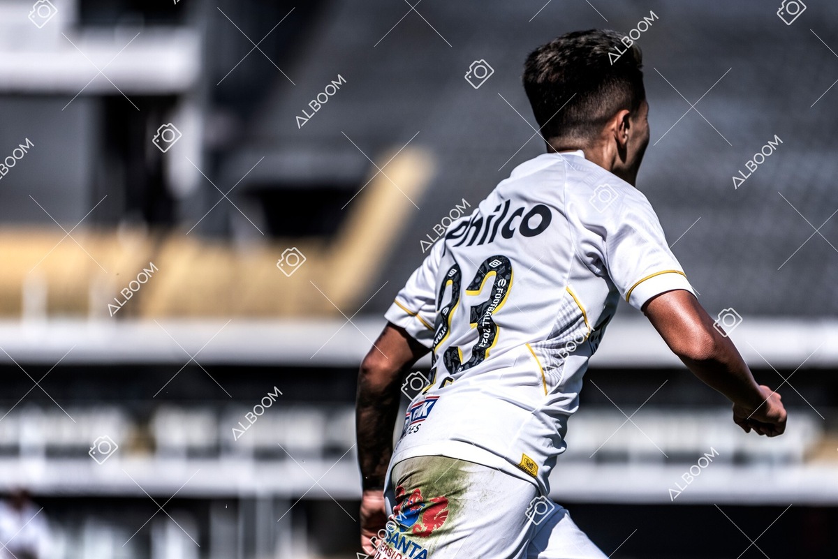 230625_Santos_4x1_Flamengo_Brasileirão_foto Dennis Calçada_01 (501)-1.jpg