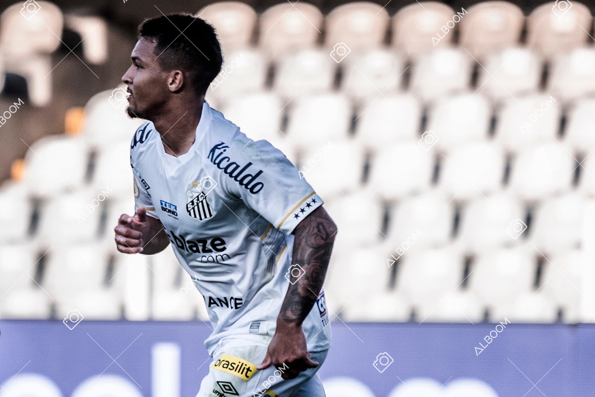 230723_Santos_2x2_Botafogo_Brasileirão_foto Dennis Calçada_01 (256)-3.jpg