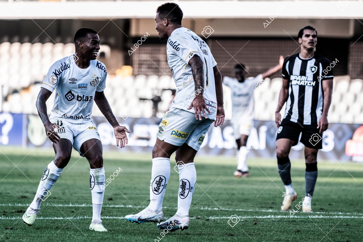 230723_Santos_2x2_Botafogo_Brasileirão_foto Dennis Calçada_01 (264)-1.jpg