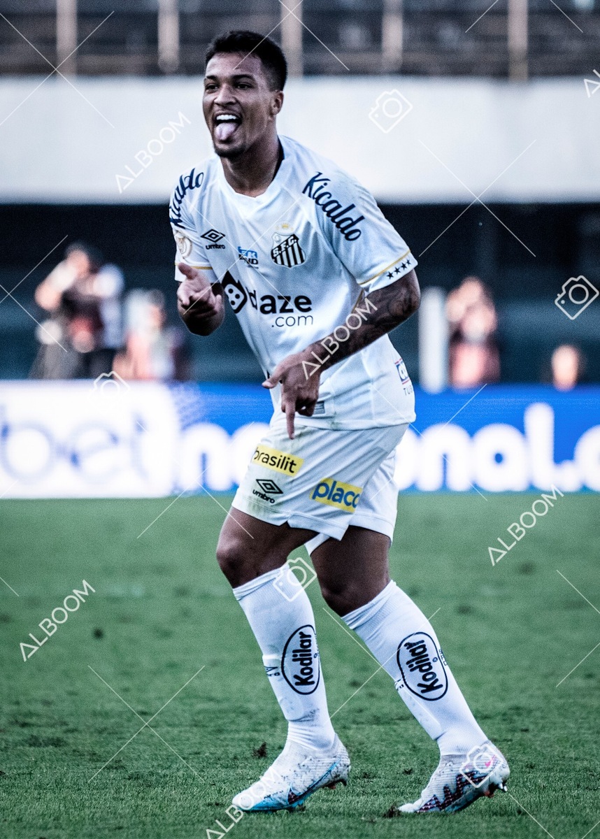 230723_Santos_2x2_Botafogo_Brasileirão_foto Dennis Calçada_01 (276)-1A.jpg