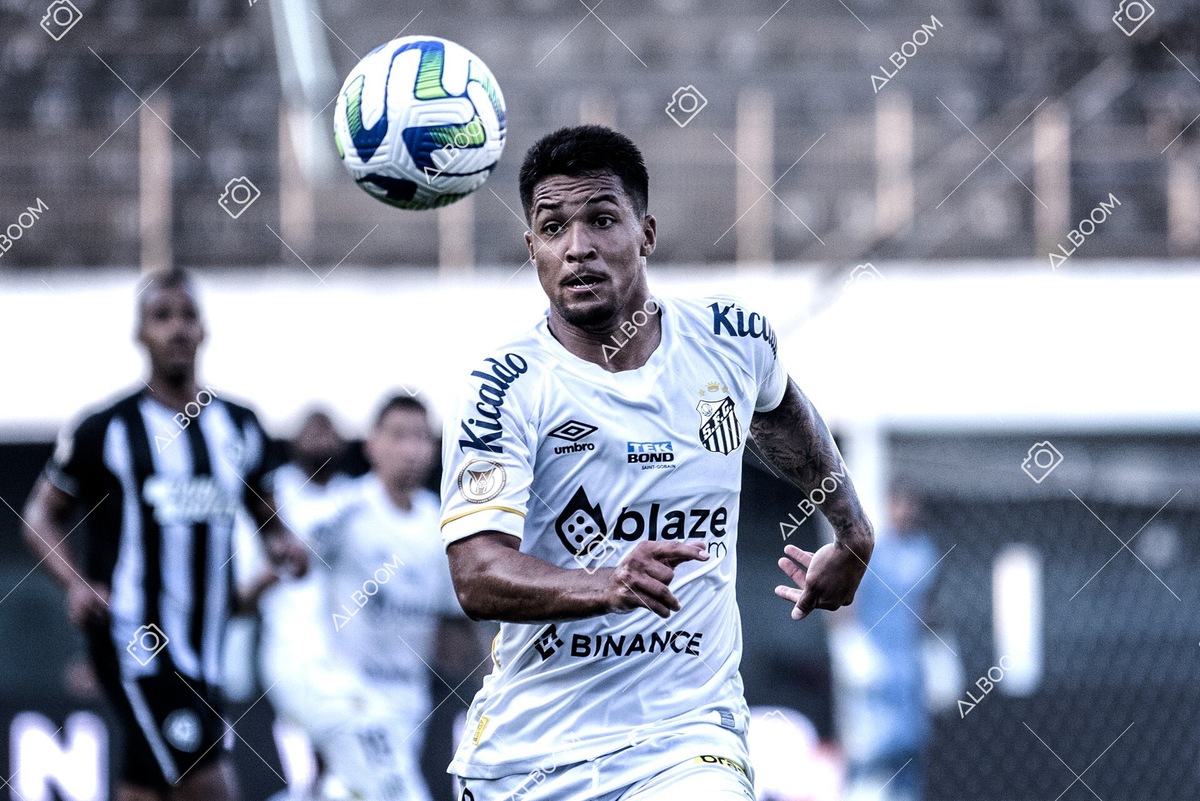 230723_Santos_2x2_Botafogo_Brasileirão_foto Dennis Calçada_01 (426)-1.jpg