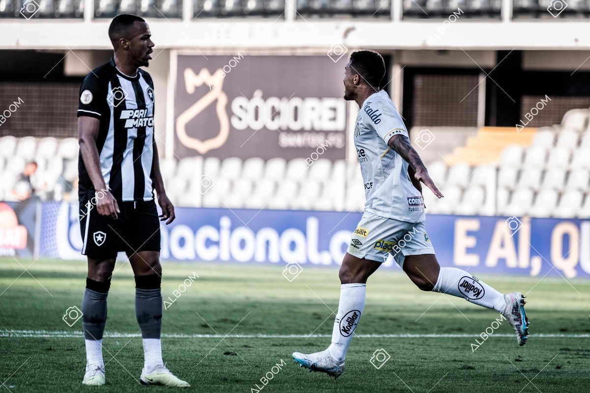 230723_Santos_2x2_Botafogo_Brasileirão_foto Dennis Calçada_01 (260)-1.jpg
