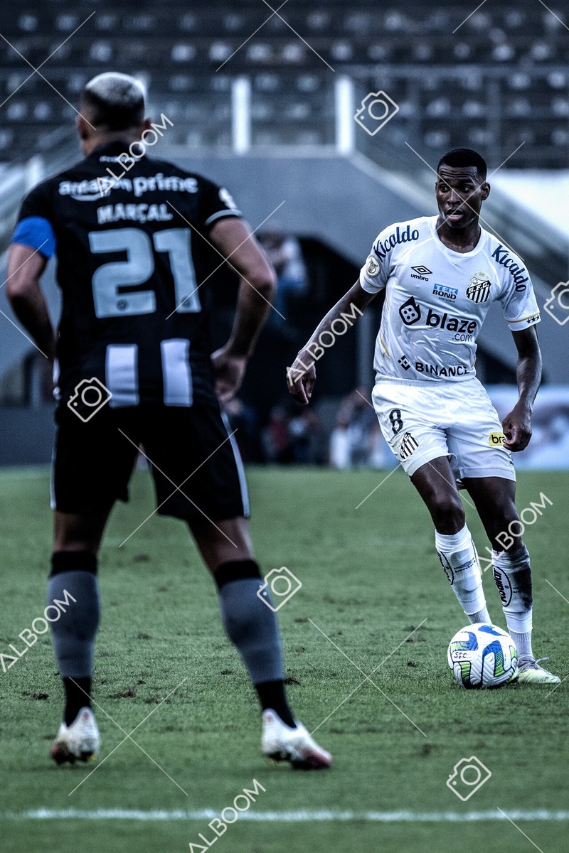 230723_Santos_2x2_Botafogo_Brasileirão_foto Dennis Calçada_01 (571)-1.jpg