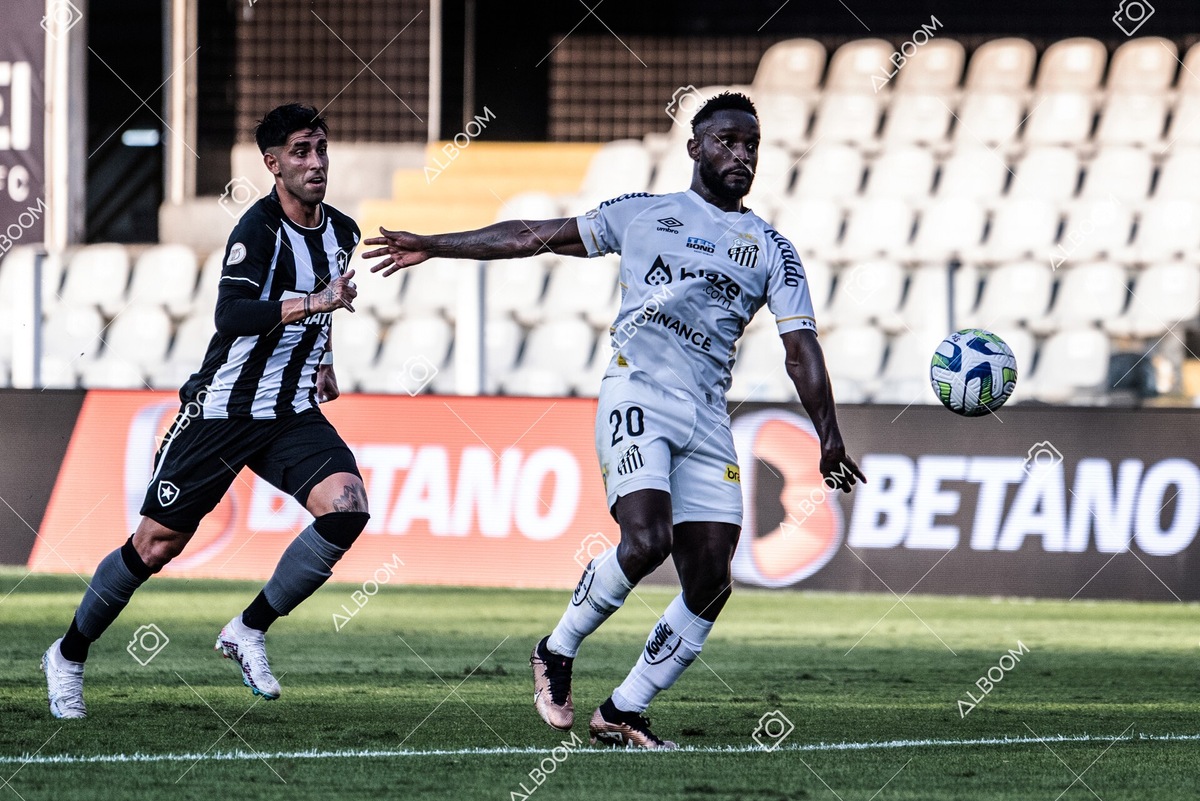 230723_Santos_2x2_Botafogo_Brasileirão_foto Dennis Calçada_01 (310)-1.jpg