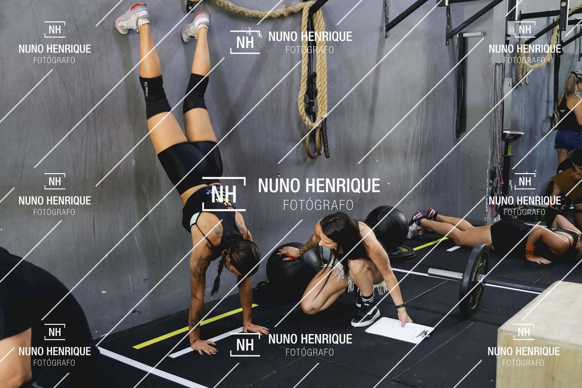 192-NunoHenriqueFoto-20231202.jpg
