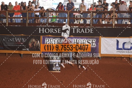 HT1_9006.JPG