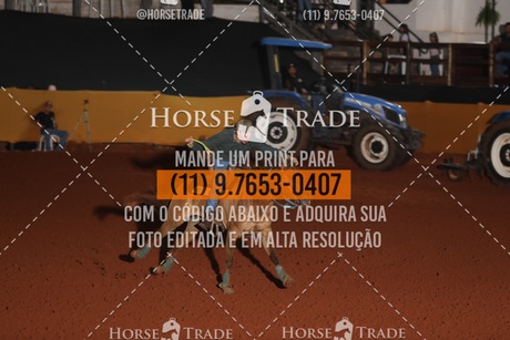 HT1_9517.JPG