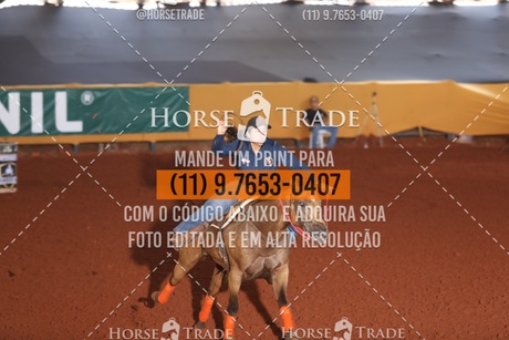 HT1_5619.JPG
