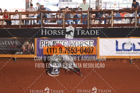 HT1_5648.JPG