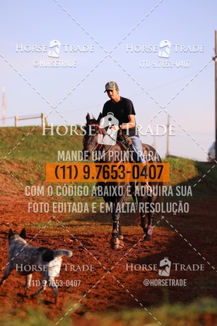 HT2_8362.JPG