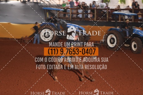 HT1_8588.JPG