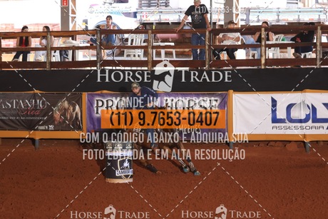 HT1_5546.JPG