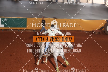 HT1_8924.JPG