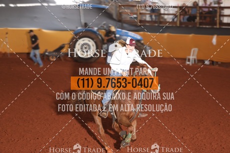 HT1_8705.JPG