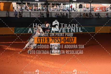 HT3_8326.JPG