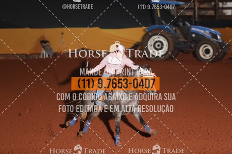 HT1_8171.JPG