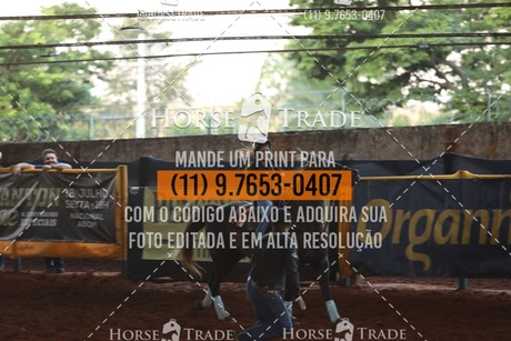 HT1_6143.JPG