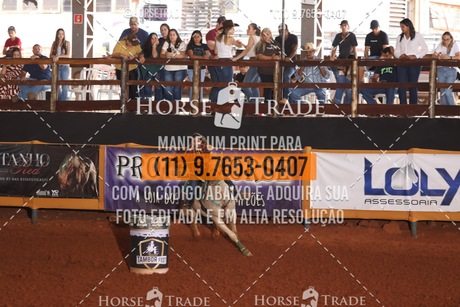 HT1_8651.JPG