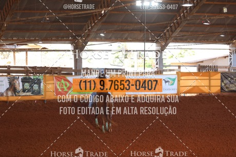 HT1_6017.JPG