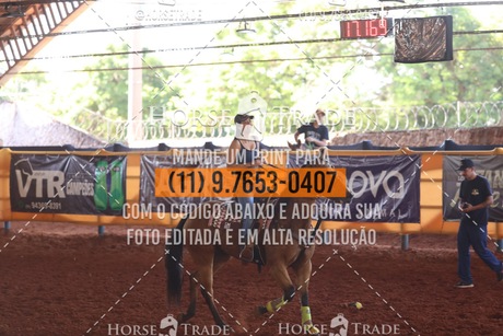 HT1_5446.JPG