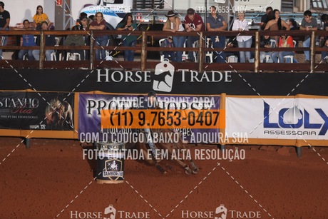 HT1_9221.JPG